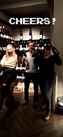 cheers wine GIF by TERRAVIGNA