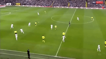 Leeds Lufc GIF