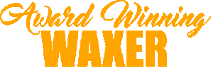 The Skin Games Sticker