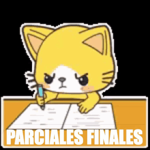 Study Parciales GIF