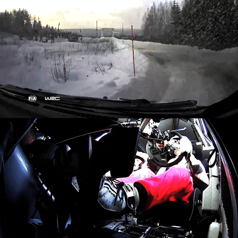 Driving Finish Line GIF by FIA World Rally Championship
