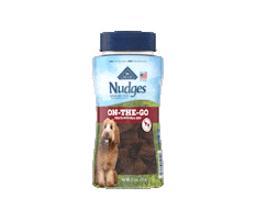 Treating Dog Food Sticker by Blue Buffalo