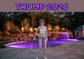 Trump 2020 GIF