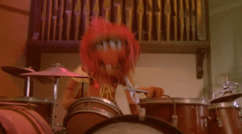 animals playing instruments gif