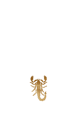 Scorpio Sticker