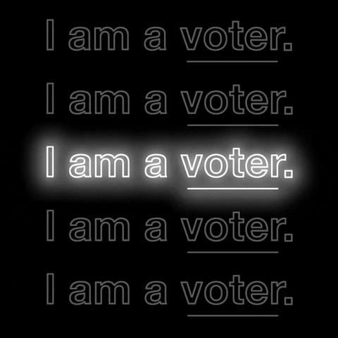 I Vote Midterm Elections GIF by I am a voter.