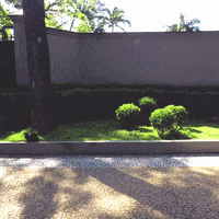 200.gif?cid=fc005b084621c68c07adcade2febdfaa6e4c1beddd5a9b08&rid=200.gif&ct=g