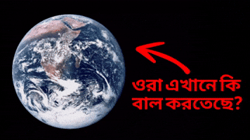 What Are They Doing GIF