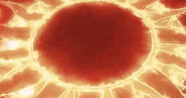 Sunrisers Hyderabad Logo GIF