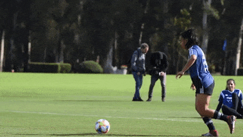 Futbol Celebrar GIF by Selección Argentina