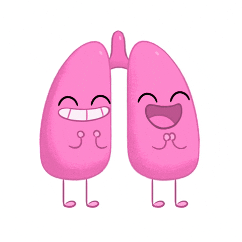 Health Joy GIF by Story Leaf