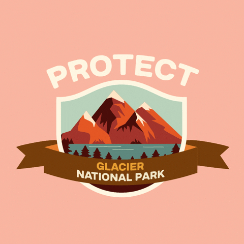 Digital art gif. Inside a shield insignia is a cartoon image of several giant, snow-capped glaciers rising out of a large body of water. Text above the shield reads, "protect." Text inside a ribbon overlaid over the shield reads, "Glacier National Park," all against a pale pink backdrop.