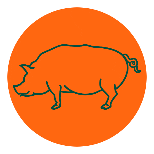 Cake Burger Sticker By K Gif