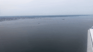 wind copenhagen GIF by Solar Impulse