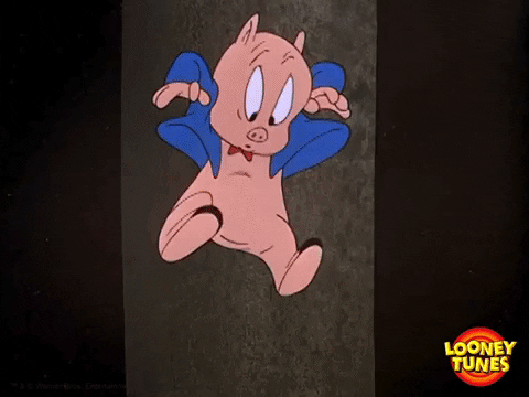 480px x 360px - Porky GIFs - Get the best GIF on GIPHY