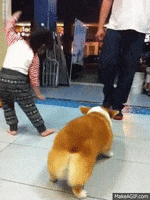 dog butt dancing GIF
