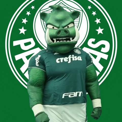 vai encarar tamo junto GIF by SE Palmeiras