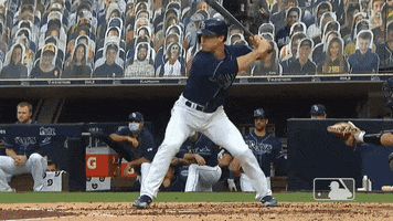 Tampa Bay Rays Oops GIF by MLB
