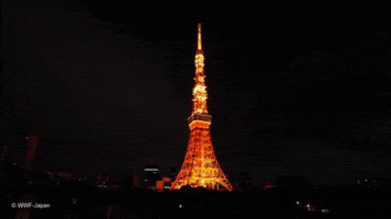 japan night GIF by Earth Hour
