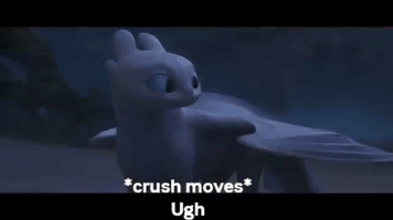 Night Fury Hiccup GIF