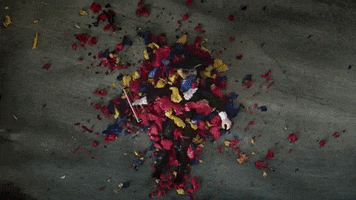 stop motion flowers GIF by Polyvinyl Records
