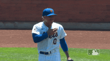 Ny Mets Pound Chest GIF by New York Mets