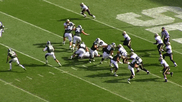 Reverse College Football GIF by Michigan State Football
