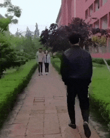 Prank GIF