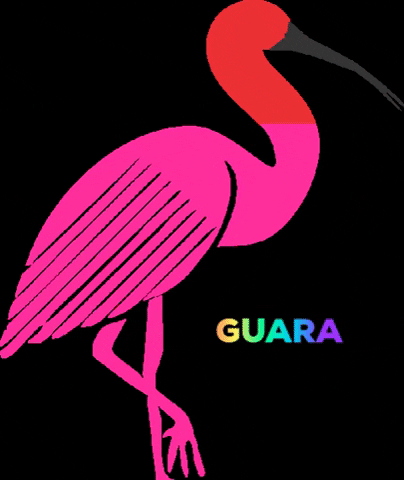 Mangue Beach GIF