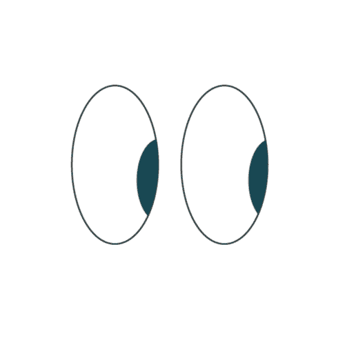 Eyes Sticker