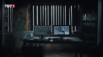 Coding Information Technology GIF by TRT