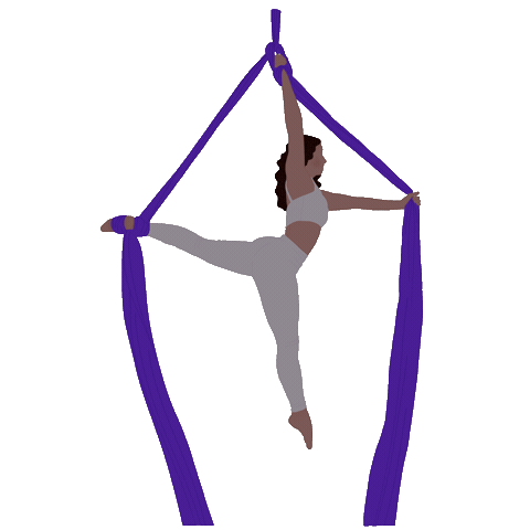 Aerial Silk Baylee Wright Sticker by Krista & Becca Ritchie