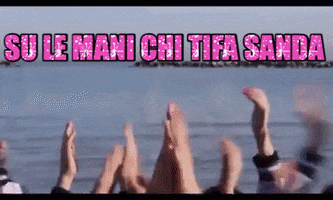 Su Le GIF by Sanda Volley Brugherio