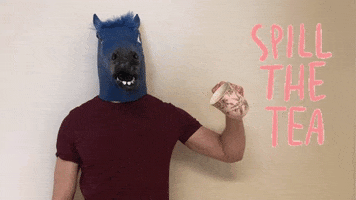 Spill The Tea Horse Mask GIF by Mane 'n Tail