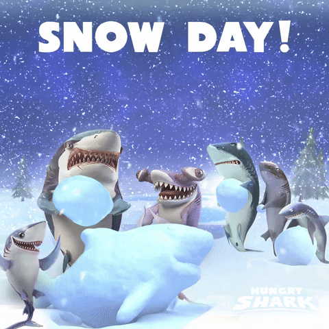 Snowball Right Snow Day GIF by Hungry Shark Official Page