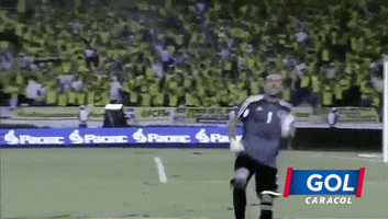 colombia football GIF by Caracol Television