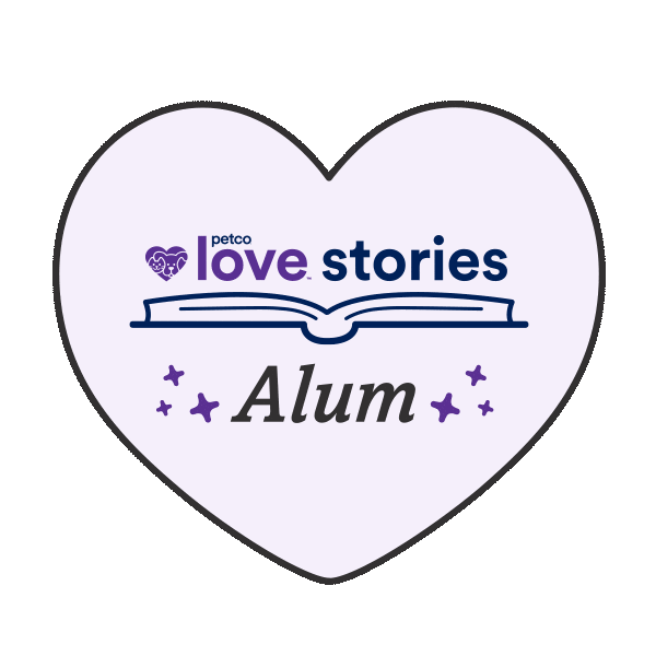 Story Adopt Sticker by Petco Love