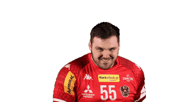 HandballAustria Sticker