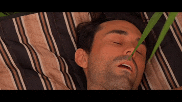 Bird Poop GIFs - Find & Share on GIPHY