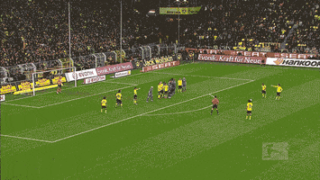 da silva bundesliga GIF by Borussia Dortmund