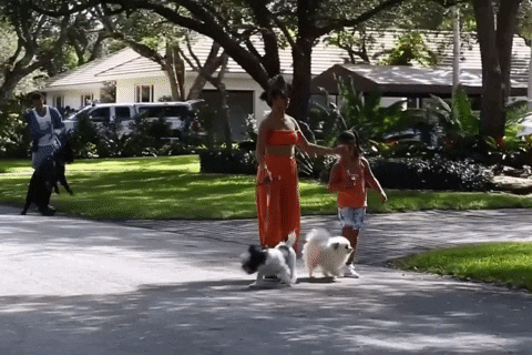 giphy.gif?cid=5e21488619d2ddb3f54c335d20
