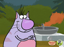 Nature Cat Water GIF by PBS KIDS