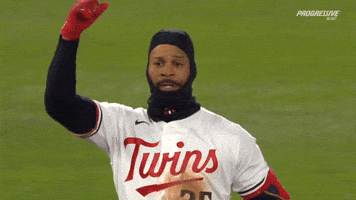 Celebrate Minnesota Twins GIF by MLB