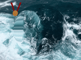 200.gif?cid=fc005b08b75861c748eaac6f0cc3d0211f0dac1caeadff3a&rid=200.gif&ct=g