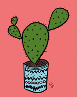 Cactus Mexican GIF by pinotti