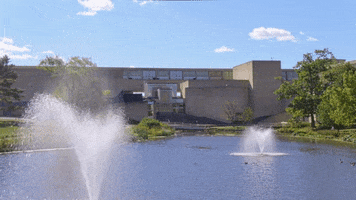 campuspond GIF by UMass Amherst