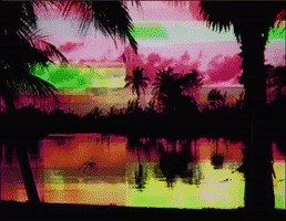 Palm Aleela GIF