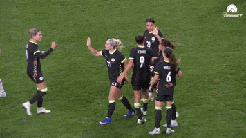 Celebration Goal GIF by Football Australia