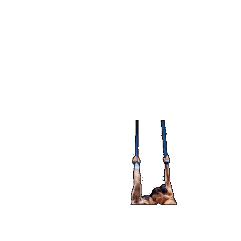 Circus Aerialstraps Sticker by Ringling Bros. and Barnum & Bailey