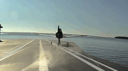 aircraft